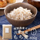 もち麦 国産(兵庫県産100%) 800g 【もち麦 送料無料 】もち麦 国産 送料無料 もっちもちで美味しい！ 低GI食品［GI値:50］もち麦ご飯 国産 水溶性食物繊維 βグルカン ダイエット 雑穀 保存に便利なチャック付