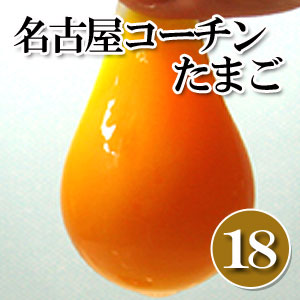 この「こく」たまりません！天然水で育った　産地直産　名古屋コーチンたまご（卵）【送料無料】純系　名古屋コーチンたまご（18ヶ入　2ヶ保障）同梱不可