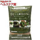 ベラボン サキュレント(1L)【more30】