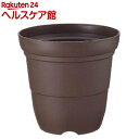 カラーバリエ 長鉢 10号 コーヒーブラウン(1コ入)