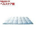 ダンフィル フィベール掛布団 シングル(1コ入)【ダンフィル...