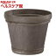 シャビーポット 5号 ブラック(1.2L)【大和プラスチック】