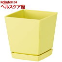 クエンチローポット 5号 ライトイエロー(1コ入)【クエンチ】