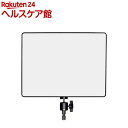 LPL LEDライトワイドプロVL-5700X デーライトタイプ L27554(1コ入)
