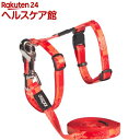 ログズ 猫用ハーネス&リード KiddyCatタンゴフィッシュボーン オレンジ フリーサイズ(1コ入)【ログズ】