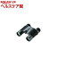 ニコン 10*25HG L DCF(1台)