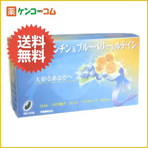 アスタキサンチン&ブルーベリー&ルテイン 4粒×30包[アスタキサンチン ケンコーコム]