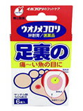 ΥᥳϹ ­ 6