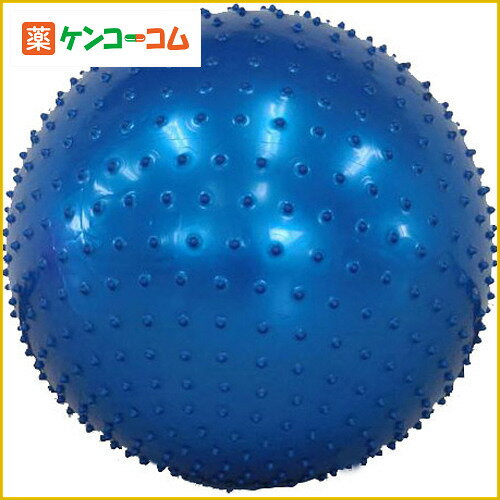 フィットネスボール(直径55cm) ブルー[バランスボール・エクササイズボール]【送料無料…...:kenkocom:11397442