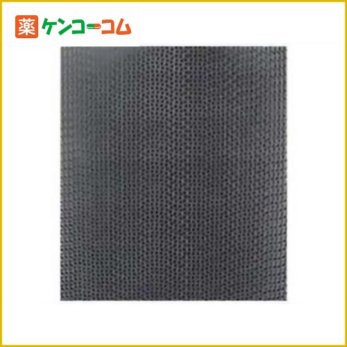 東芝 除湿機用脱臭フィルター RAD-F009[TOSHIBA(東芝) 除湿機関連用品]【…...:kenkocom:10629427