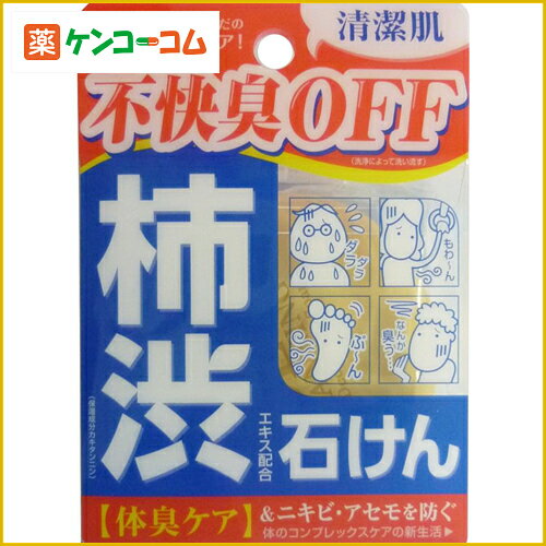 柿渋エキス配合石鹸 デオタンニングソープ 100g[デオタンニング 柿渋石鹸 ケンコーコム【2sp_120810_green】]柿渋エキス配合石鹸 デオタンニングソープ 100g/デオタンニング/柿渋石鹸/デオドラント★特価★税込\1980以上送料無料