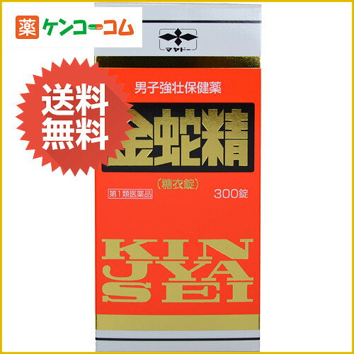 ֐ (ߏ) 300[֐iLWZCj @\P]y1ވiz