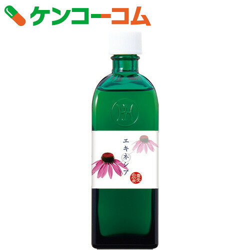 マザーチンクチャーエキネシアJ(B-B)150ml[ホメオパシー チンクチャー(ハーブ酒)…...:kenkocom:10882286