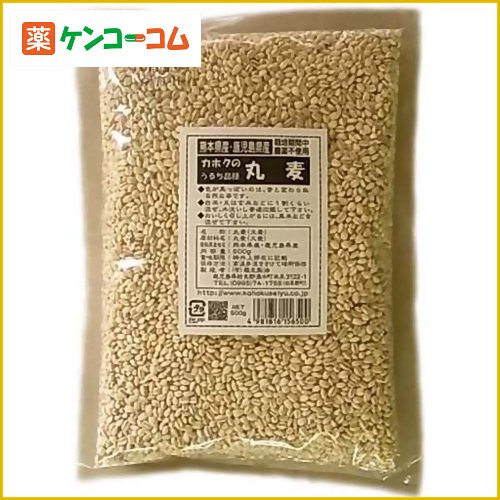 カホクの国産丸麦 500g[カホク 丸麦 ケンコーコム]