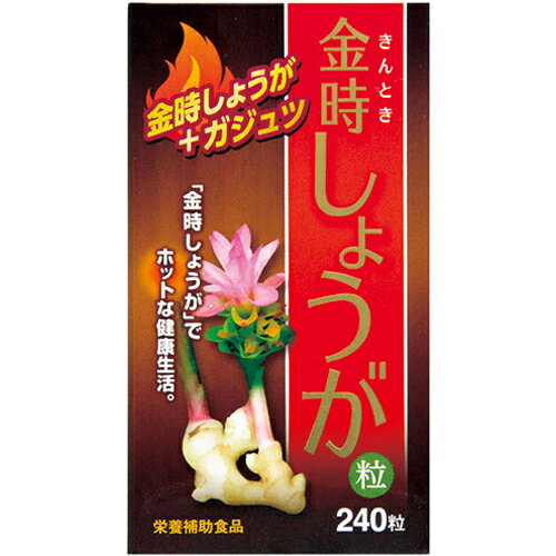 金時しょうが粒 ガジュツ粒 60g (約240粒)