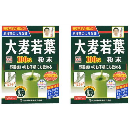 【数量限定特価】大麦若葉粉末100% スティックタイプ 3g×22包 2個セット[大麦若葉100% 大麦若葉青汁 ケンコーコム]