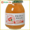 信州須藤農園 100%フルーツ アップル 430g