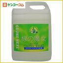 緑の魔女 キッチン 業務用 5L[【HLS_DU】