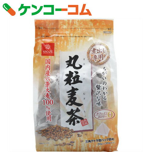 はくばく 丸粒麦茶 煮出し専用 30g×30袋入[ケンコーコム はくばく 麦茶(ティーバッグ)]【1_k】【あす楽対応】