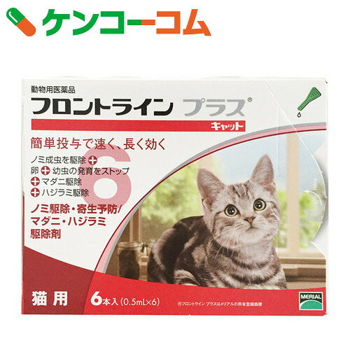 フロントライン プラス キャット(猫用) 6本入[フロントライン フロントラインプラス ノ…...:kenkocom:11507893