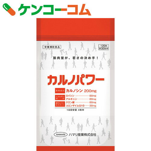 カルノパワー 120粒[カルノシン]【送料無料】