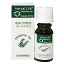 Herbal Life u[TCvX 10ml