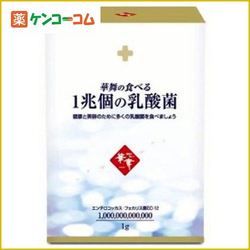 華舞の食べる 1兆個の乳酸菌 1g×30本[華舞の食べる乳酸菌 ケンコーコム]華舞の食べる 1兆個の乳酸菌 1g×30本/華舞の食べる乳酸菌/乳酸菌/送料無料