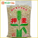 日本精麦 押麦 1kg[麦 ケンコーコム]日本精麦 押麦 1kg/麦/税込\1980以上送料無料