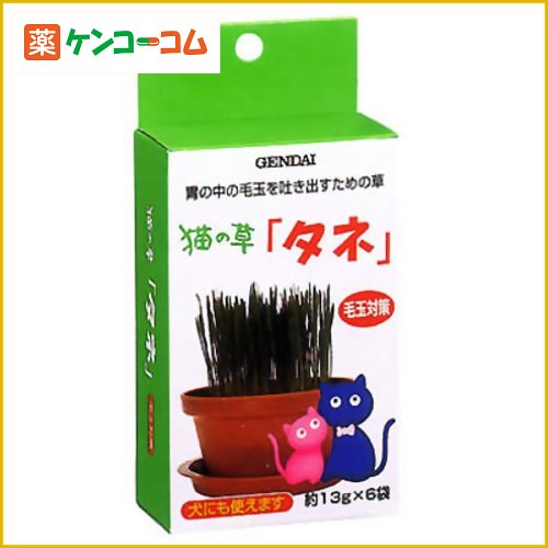 猫の草 タネ 100g[GENDAI(ゲンダイ) 猫の草(猫草) ケンコーコム]猫の草 タネ 100g/GENDAI(ゲンダイ)/猫の草(猫草)/税込\1980以上送料無料