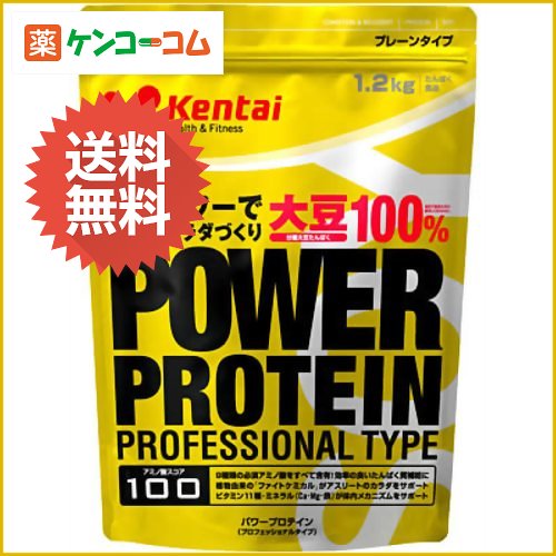 Kentai(ケンタイ) パワープロテイン プロフェッショナルタイプ 1.2kg[ケンタイ プロテイン ケンコーコム【2sp_120810_green】]Kentai(ケンタイ) パワープロテイン プロフェッショナルタイプ 1.2kg/Kentai(ケンタイ)　パワープロテイン/プロテイン/送料無料