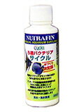 ߃oNeAnt TCN 100ml