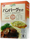 【P10倍4/16 9:59マデ】糖尿病食 ハンバーグセット