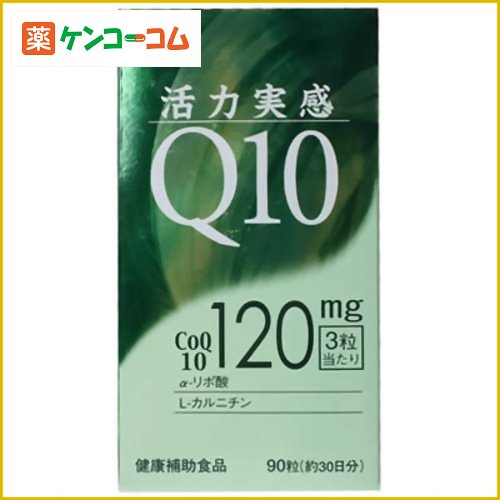 活力実感 Q10 90粒入[健康食品 コエンザイムQ10 ケンコーコム]活力実感 Q10 90粒入/コエンザイムQ10(CoQ10)/送料無料