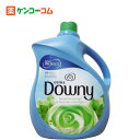 ダウニー マウンテンスプリング 濃縮 3.83L[ダウニー(Downy) 柔軟剤 ケンコーコム【2sp_120810_green】]