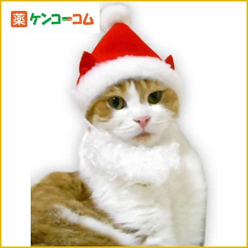 ӂӂqQɂ̃T^XmLbgv LERXvn