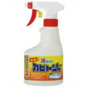 【P10倍 12/26 9:59マデ】カビトリ用洗剤 泡タイプ 300ml
