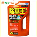 カダン 除草王シリーズ ザッソージエース 2L[カダン 除草剤 液剤 ケンコーコム]