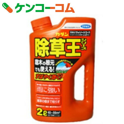 カダン 除草王 ザッソージエース 2L[カダン 除草王 除草剤 除草剤 液剤]...:kenkocom:10561940