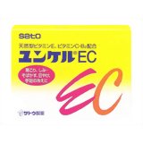 󥱥EC 100̵