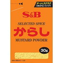 【訳あり:賞味期限2019/5/10】S&B 袋入りからし 30g
