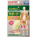 興和新薬 バンテリンサポーターひざ用 大きめ イエロー 1枚 (バンテリン 膝サポーター サポーター 膝 ひざ ヒザ)