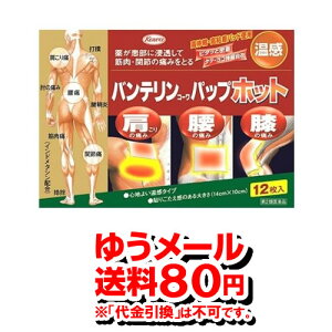 【第2類医薬品】【ゆうメール便！送料80円】興和新薬 バンテリンコーワパップホット 12枚 【SM】（湿布薬 湿布 温感タイプ 肩こり 腰痛 筋肉痛 間接痛）