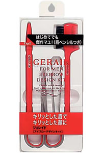 資生堂 GERAID（ジェレイド）アイブローデザインキット