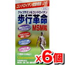 [リニューアル] 歩行革命MSM粒 240粒入【6個set】（コンドロイチン硫酸量が、なんと2倍に増量！）