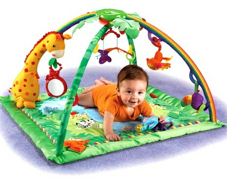 【即日発送可！】[FisherPrice] フィッシャープライス レインフォレストデラックスジム[K4562]【送料無料&代引き無料】