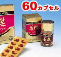 를꡼۹缢ܶԺ ᴥ륫ץ (60ץ)