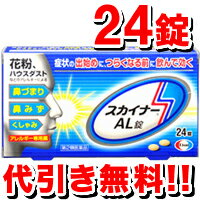 エーザイ　スカイナーAL錠 24錠 【第2類医薬品】