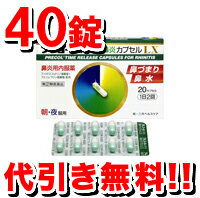 プレコール持続性鼻炎カプセルLX[40錠]【第2類医薬品】【5250以上で送料無料！】