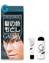 GATSBY（ギャツビー）ターンカラー スモーキーブラック [医薬部外品]