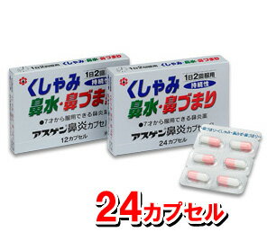 アスゲン鼻炎カプセルS 24カプセル入【第(2)類医薬品】